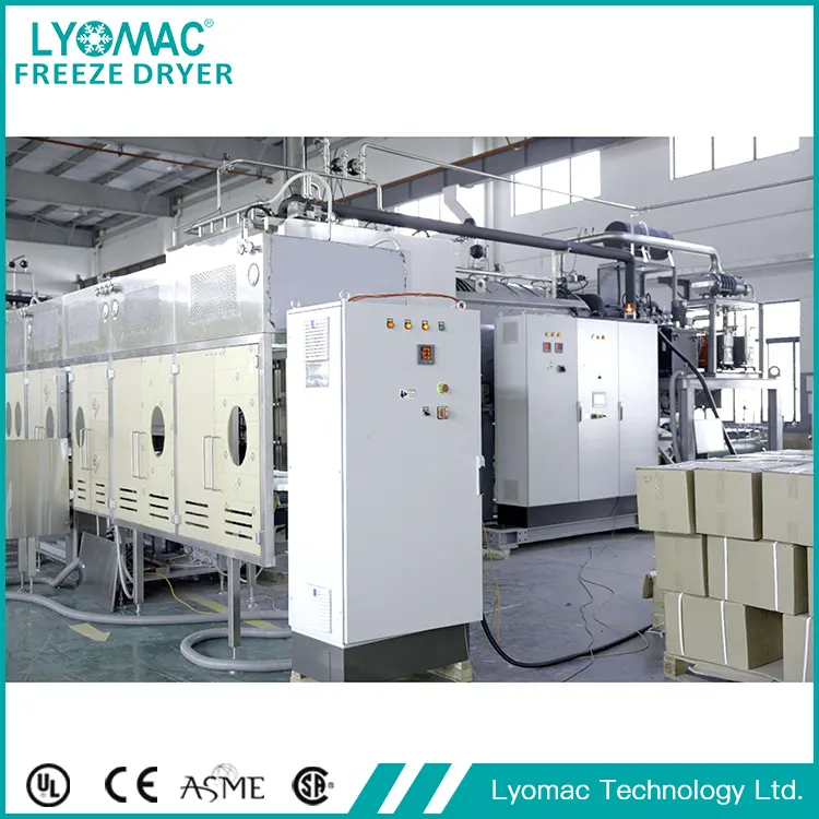 Ridefinizione della personalizzazione: come Lyomac risolve le sfide uniche della produzione farmaceutica