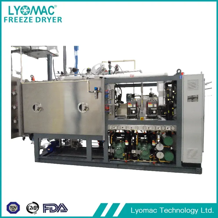 L'avanguardia globale della liofilizzazione: LYOMAC TECHNOLOGY LTD e il futuro della lavorazione sterile