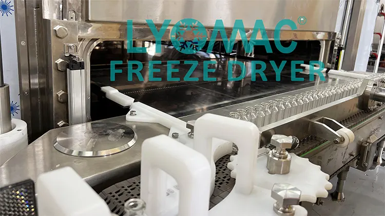 FREEZE DRYER